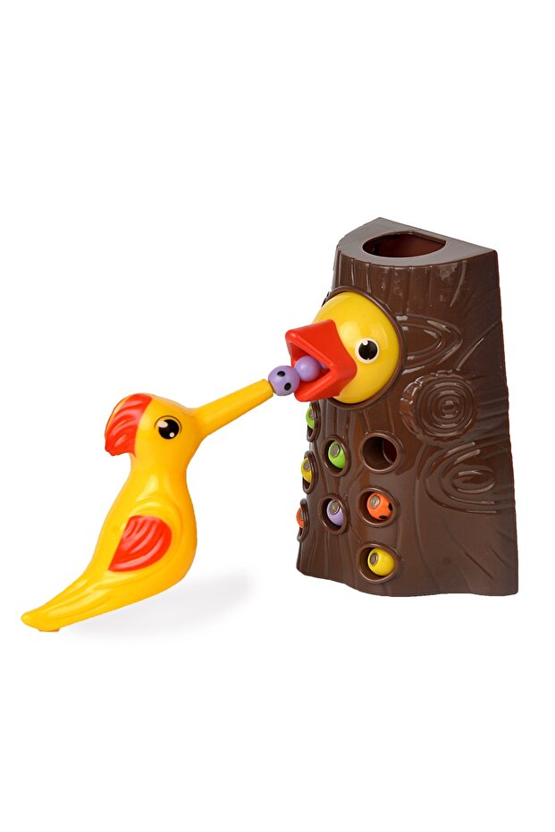 Pikka Toys Manyetik Kuş Besleme Oyunu