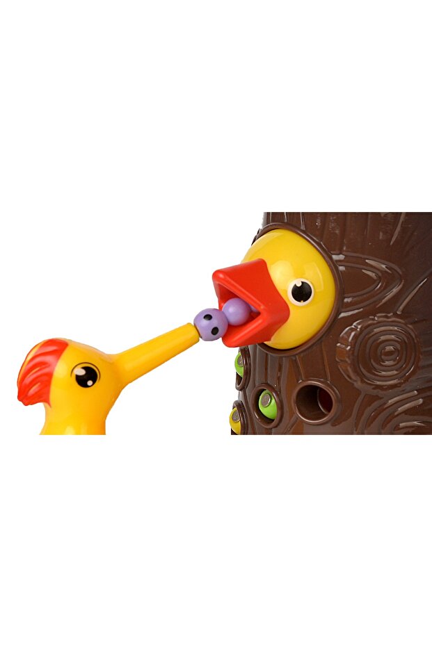 Pikka Toys Manyetik Kuş Besleme Oyunu