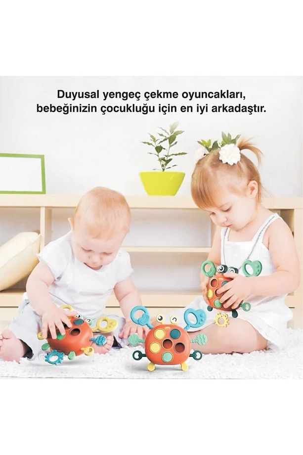 Pikka Toys Yengeçli Montessori Oyuncak