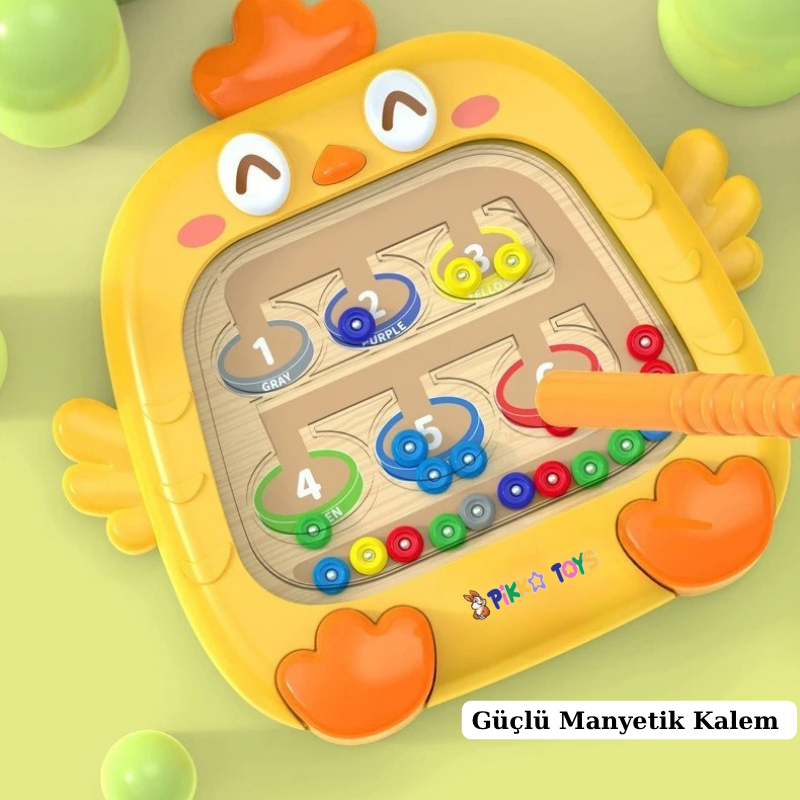 Pikka Toys Manyetik  Sayı ve Renk Eşleştirme