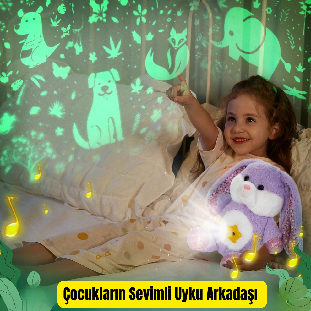 Pikka Toys  Işıklı Müzikli Yansıtmalı Peluş Gece Arkadaşı